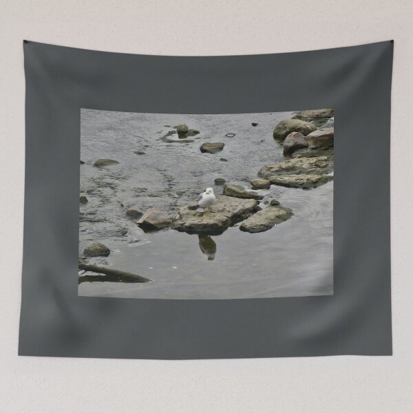 Item preview, Seagull on the rocks designed and sold by Shulie1.