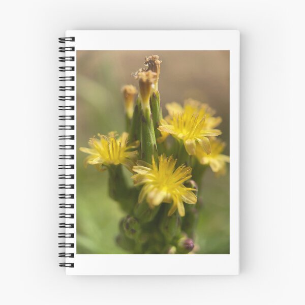 Item preview, Spring Has Sprung designed and sold by Jason Tompkins.