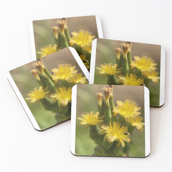 Item preview, Spring Has Sprung designed and sold by Jason Tompkins.