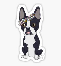 Boston Terrier Sticker