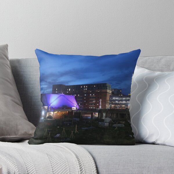 Item preview, Reading Hexagon allotments at night designed and sold by Anne Nolan.
