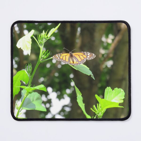 Item preview, 'The Amazing Monarch' Art on a Mission  designed and sold by OriginalArt4ME.