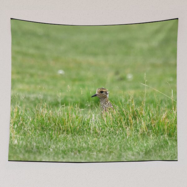 Item preview, Hiding a bit. European golden plove designed and sold by Jouko Lehto Photography.