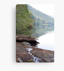 "Lake Crescent Shoreline" Metal Print