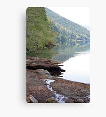 "Lake Crescent Shoreline" Canvas Print