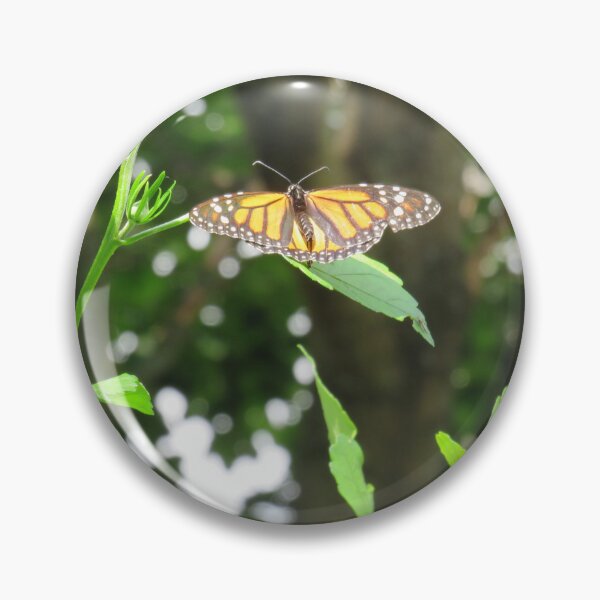 Item preview, 'The Monarch' Art on a Mission designed and sold by OriginalArt4ME.