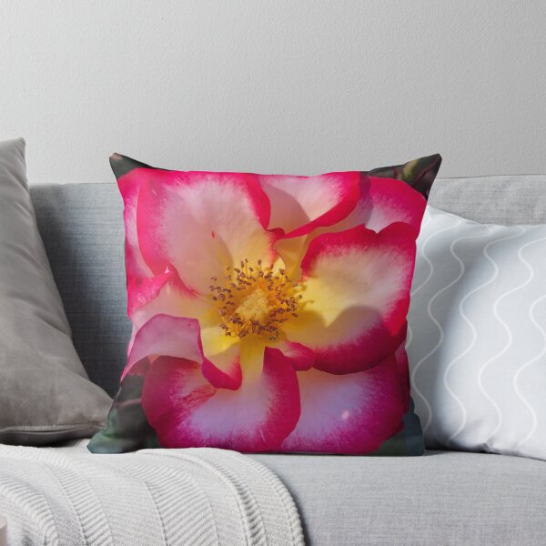 Item preview, Red and Yellow Rose designed and sold by Photomersion.