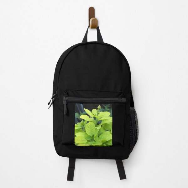 Item preview, Forest Bathing with the Green Leaves of Our Beautiful Planet designed and sold by Photomersion.