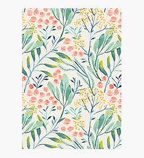 Botanical Garden Photographic Print