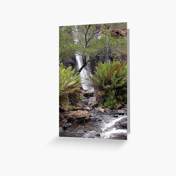 MacKenzie Falls Greeting Card