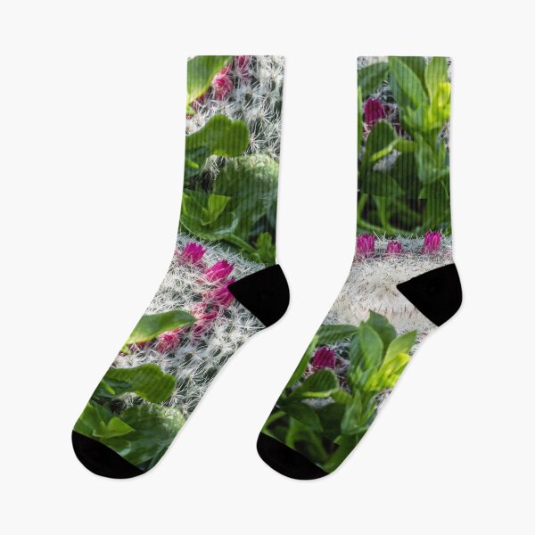 Item preview, Pink cactus flowers in the garden designed and sold by oneperception.