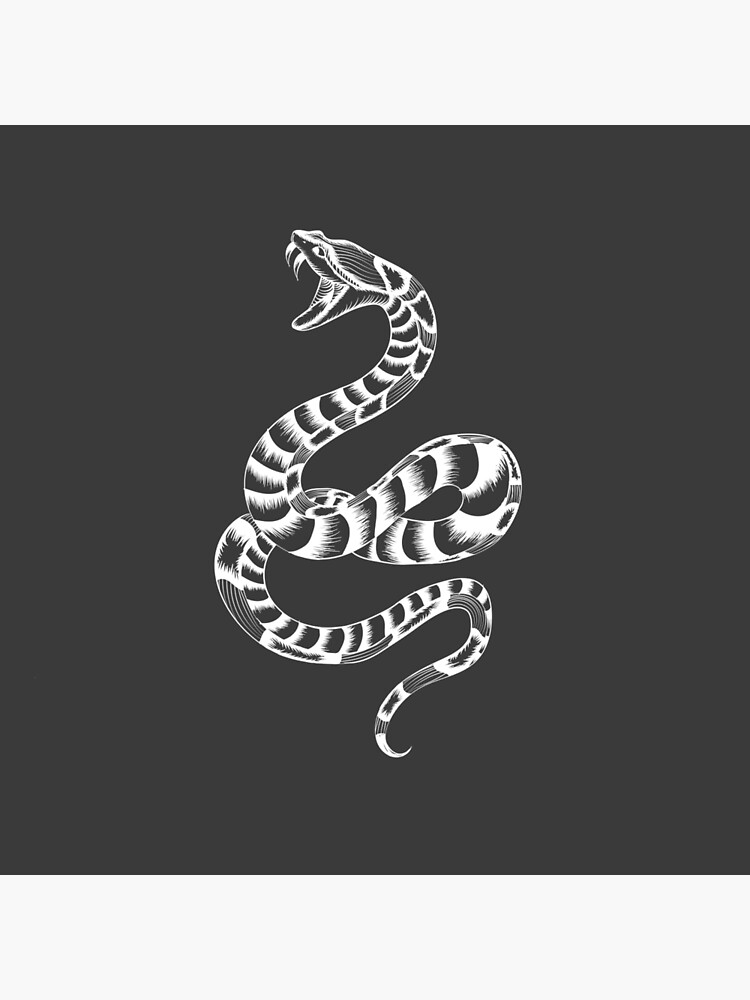 Boa Constrictor Black & White Art Board Print for Sale by porpoisefully