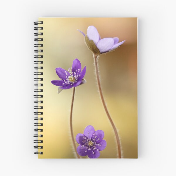 Item preview, Spring flowers designed and sold by Catrinann.
