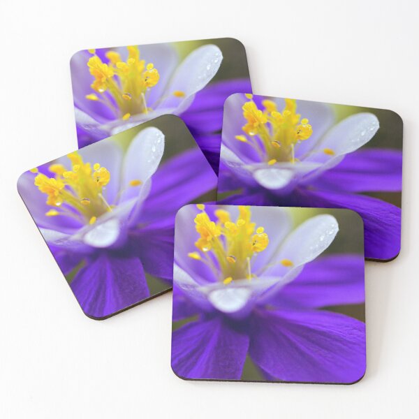 Item preview, Relief designed and sold by KazzaKphotos.