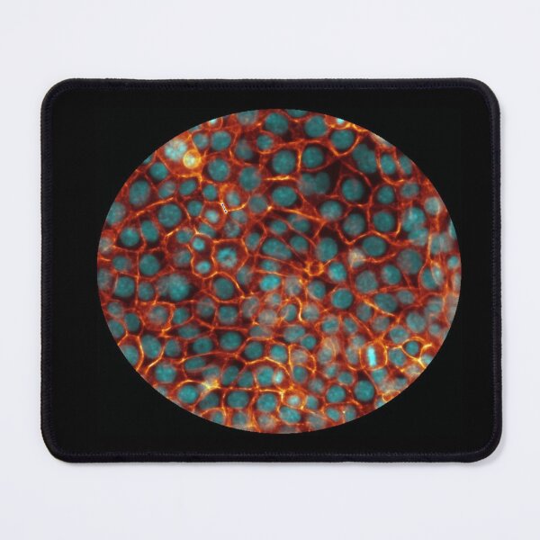 Item preview, Membranes and nuclei - icy hot blue and orange designed and sold by ArtByScience.