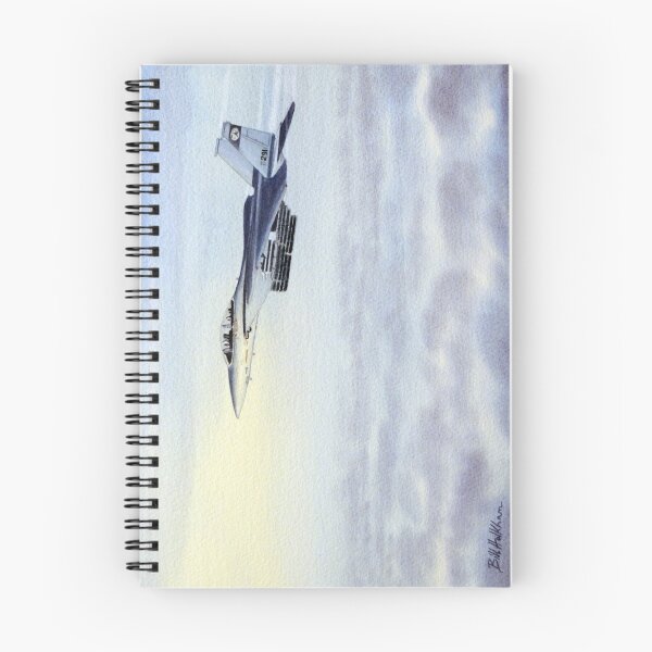 Item preview, F-15 Eagle Aircraft designed and sold by William Holkham.