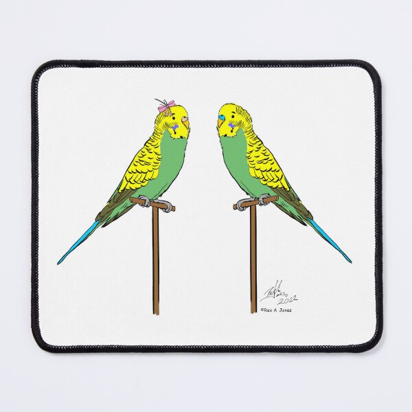 Item preview, Crazy Bird Lady with Budgies designed and sold by Laughing Parrot Studio.