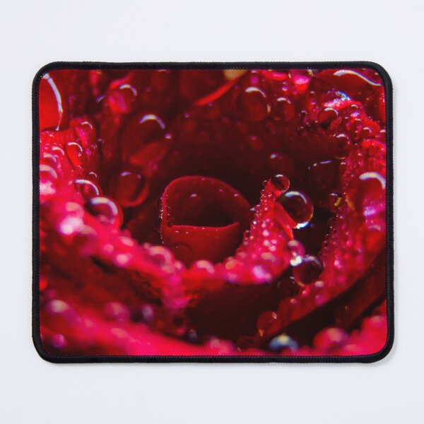 Item preview, Close Up Of A Red Rose designed and sold by Taceo10.