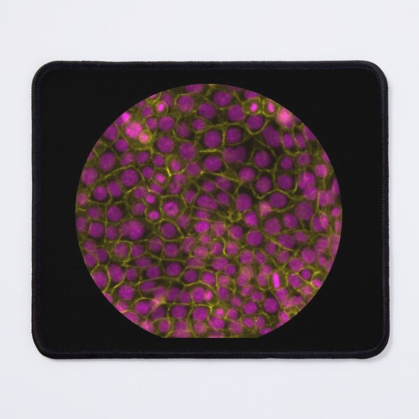 Item preview, Membranes and nuclei - magenta and gold designed and sold by ArtByScience.