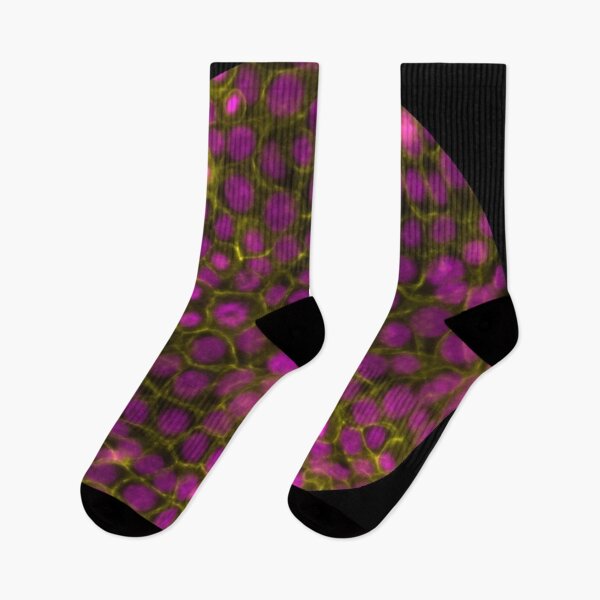 Item preview, Membranes and nuclei - magenta and gold designed and sold by ArtByScience.