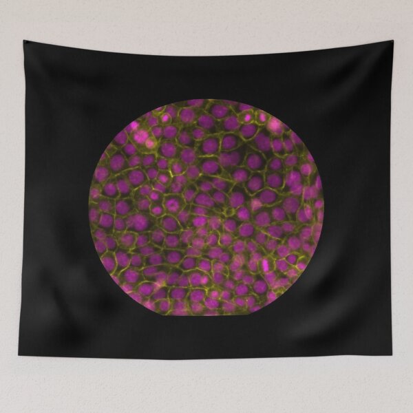 Item preview, Membranes and nuclei - magenta and gold designed and sold by ArtByScience.