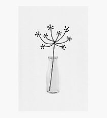 Still Life III Photographic Print