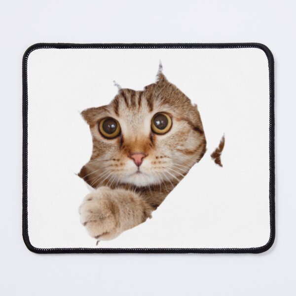Item preview, Little cat designed and sold by kattilako.