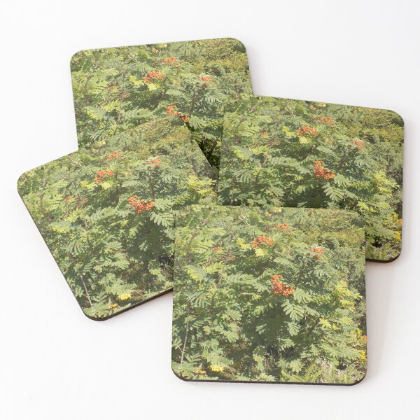 Item preview, Rowan tree designed and sold by Photos-by-Eddie.