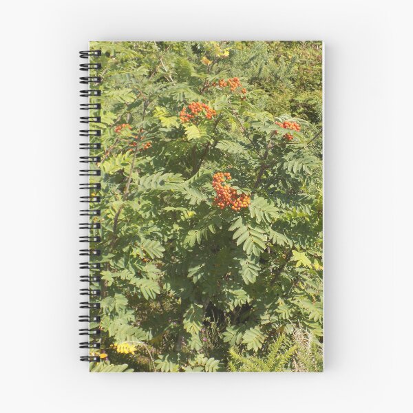 Item preview, Rowan tree designed and sold by Photos-by-Eddie.