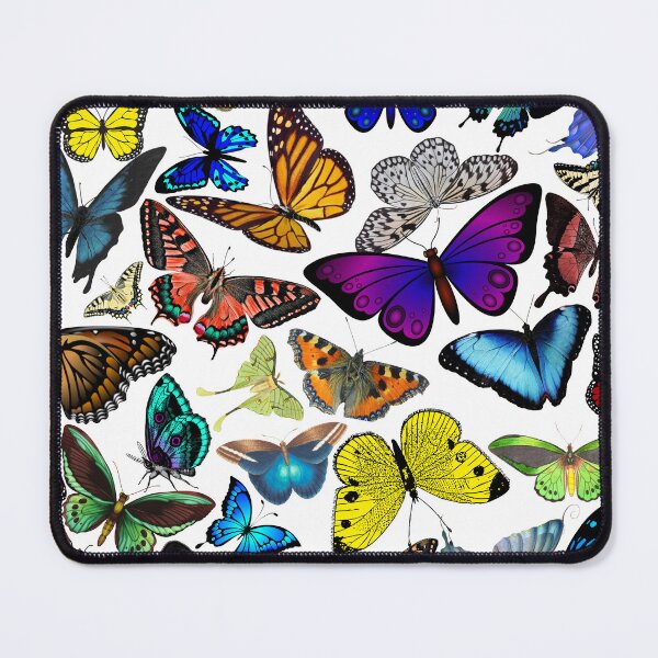 Item preview, Collection of butterflies designed and sold by SoukainaAl.