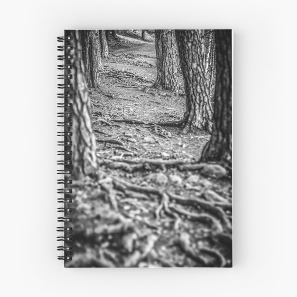 Item preview, Rootway 2012 - black edition designed and sold by Matti Ollikainen.