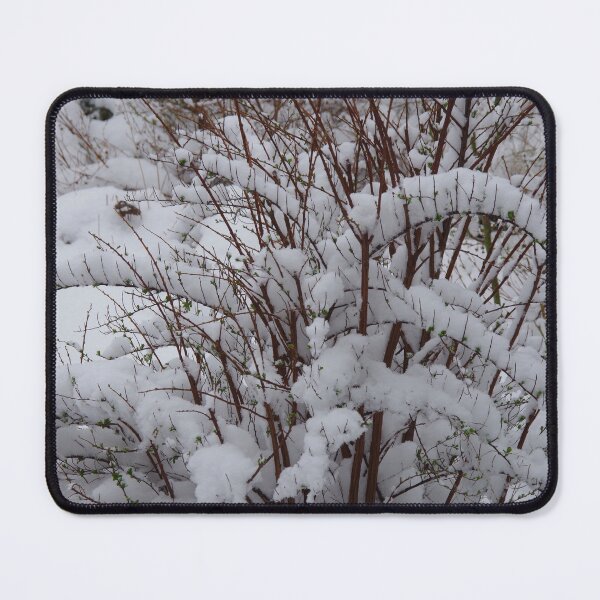 Item preview, Spirea Snowmound Under Snow designed and sold by lezvee.