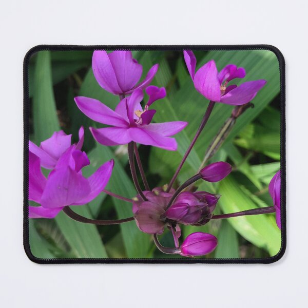 Item preview, Forest Bathing with the Perfectly Pure Purple Wildflower designed and sold by Photomersion.