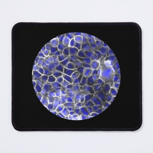 Item preview, Membranes and nuclei - blue and silver designed and sold by ArtByScience.