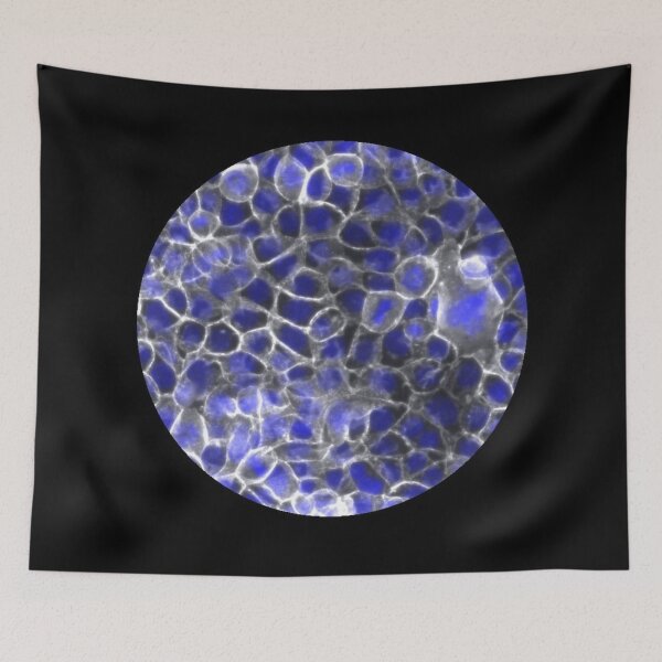 Item preview, Membranes and nuclei - blue and silver designed and sold by ArtByScience.