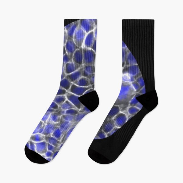 Item preview, Membranes and nuclei - blue and silver designed and sold by ArtByScience.