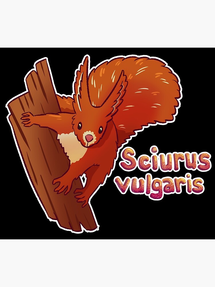 "Red Squirrel Scientific Name" Poster for Sale by ghostcashew | Redbubble