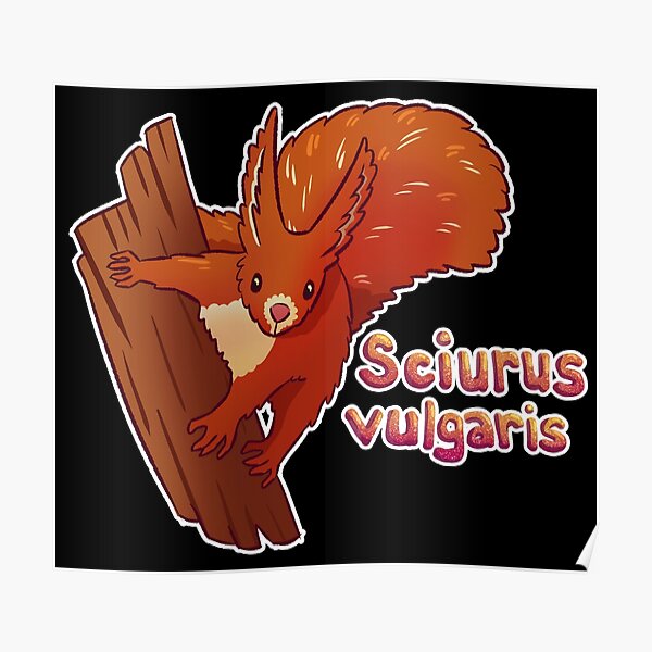 "Red Squirrel Scientific Name" Poster for Sale by ghostcashew | Redbubble