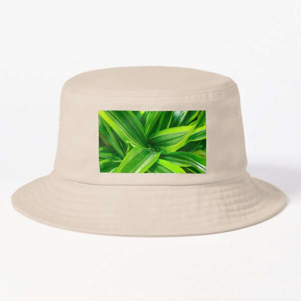 Item preview, Captivating Vibrant Leaves With Luxurious Streaks Of Green  designed and sold by DEC02.
