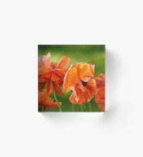 Oriental Poppies Acrylic Block