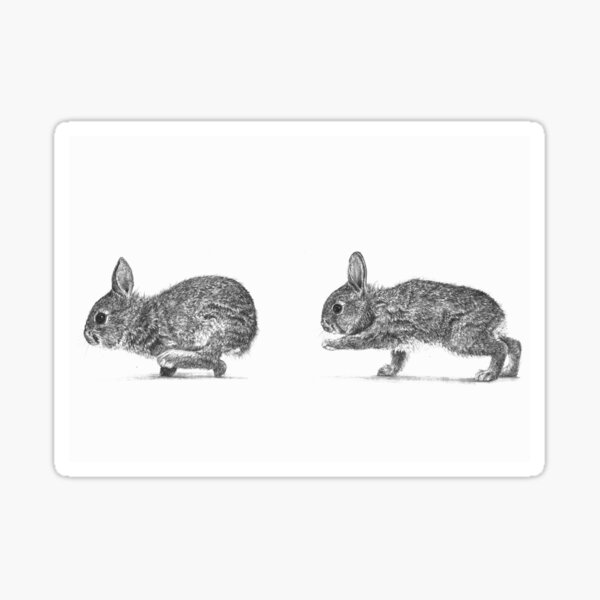 Oma Rapeti - Cute Running Rabbits! Sticker