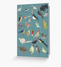 Oiseaux Alphabetiques - A to Z birds - papercuts Greeting Card