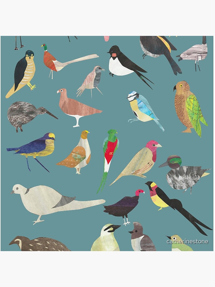 Oiseaux Alphabetiques - A to Z birds - papercuts by catherinestone