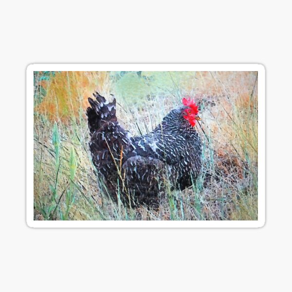 Rogue Chicken Sticker
