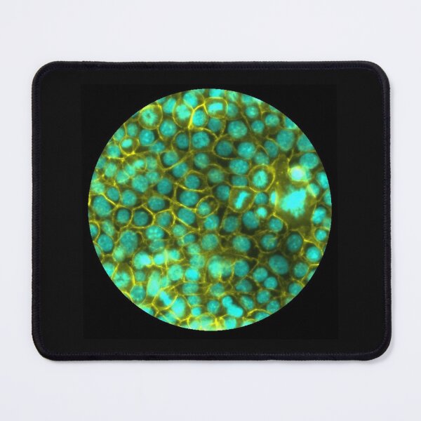 Item preview, Membranes and nuclei - cyan and gold designed and sold by ArtByScience.
