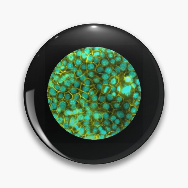 Item preview, Membranes and nuclei - cyan and gold designed and sold by ArtByScience.