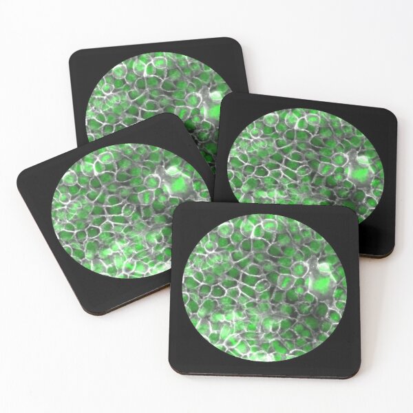 Item preview, Membranes and nuclei - green and silver designed and sold by ArtByScience.