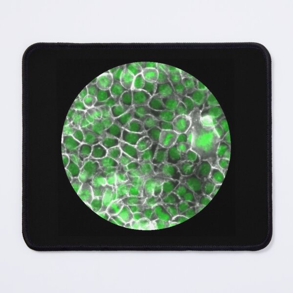 Item preview, Membranes and nuclei - green and silver designed and sold by ArtByScience.