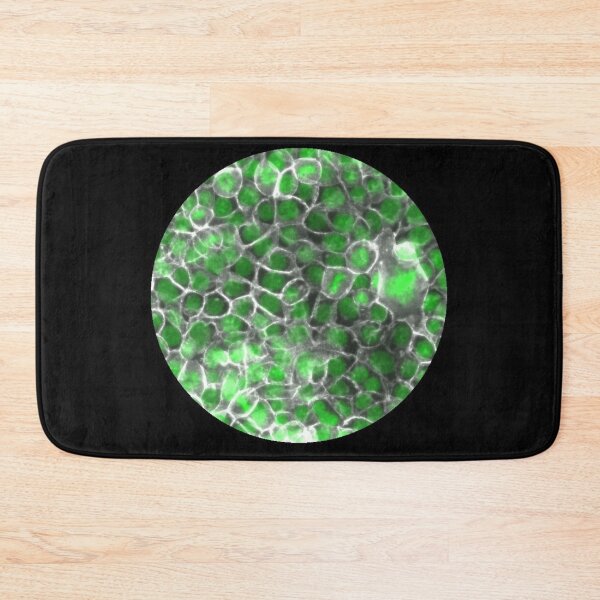 Item preview, Membranes and nuclei - green and silver designed and sold by ArtByScience.