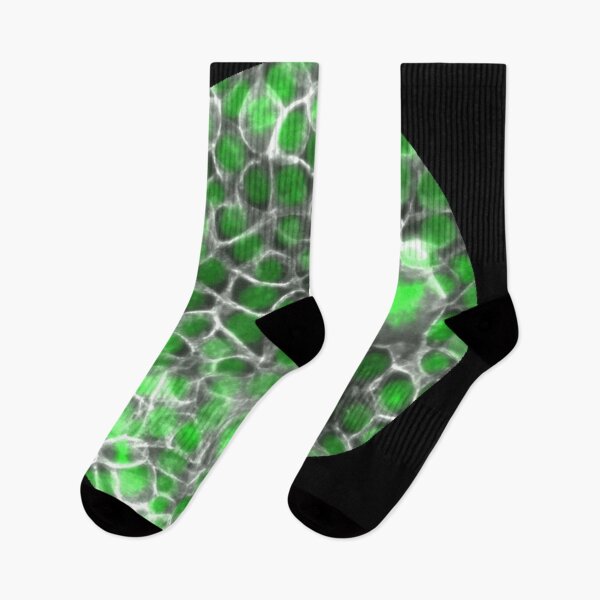 Item preview, Membranes and nuclei - green and silver designed and sold by ArtByScience.